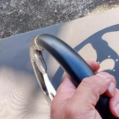 モモ　ステアリングホイールの画像