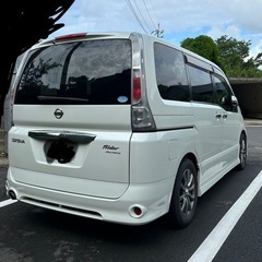 奄美　セレナライダー　低走行　の画像