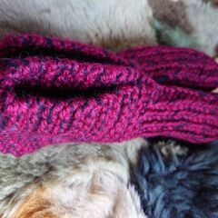 毛糸の靴下の画像