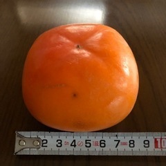 ＊お取引中＊　渋抜き済み柿　平柿　種無し柿　30個の画像