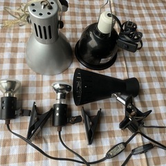 爬虫類用品　バスキングライト　ライトドーム　クリップスタンド　ひまわり　ヴォルテス　セット売りの画像