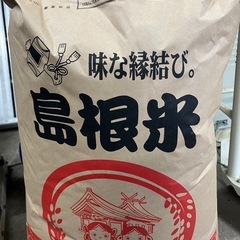 令和6年産ヤシロモチ　量り売り可能　 