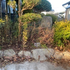 草刈りや草むしり