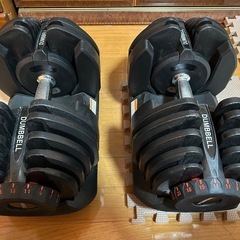 筋トレセット　年末年始に受け取り可能な方 