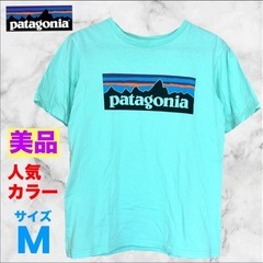 【美品】パタゴニア❤キッズTシャツ　レアカラー　ボーイズ　Mサイズ