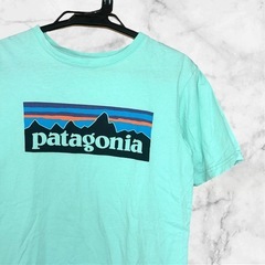 【美品】パタゴニア❤キッズTシャツ　レアカラー　ボーイズ　Mサイズの画像