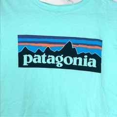 【美品】パタゴニア❤キッズTシャツ　レアカラー　ボーイズ　Mサイズの画像