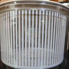 中古野菜水切り器サラダの画像