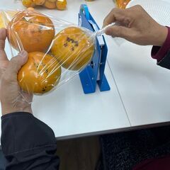フルーツの袋詰め作業！簡単な軽作業で月給15000円　昼食付きの画像