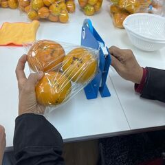 フルーツの袋詰め作業！簡単な軽作業で月給15000円　昼食付きの画像