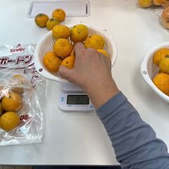 フルーツの袋詰め作業！簡単な軽作業で月給15000円　昼食付きの画像