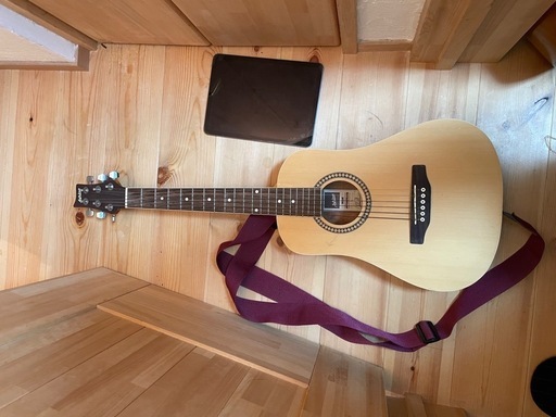 Ashton Joey Acoustic MTM アコースティックギター
