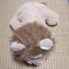 ライオンのぬいぐるみの画像