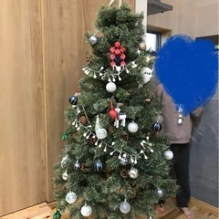 クリスマスツリー🎄の画像