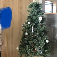 クリスマスツリー🎄の画像