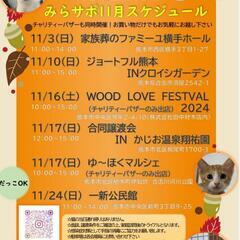 子猫❤️成猫❤️３０匹以上😸抱っこOKの保護猫の譲渡会🎵