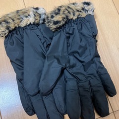 レディース　手袋　黒の画像