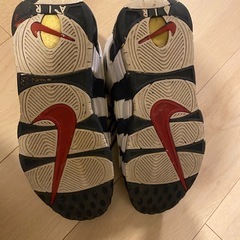 モアテン　ナイキ　27センチの画像