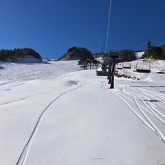 スキー仲間募集