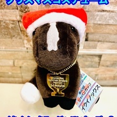 【新品】イクイノックス　ジャパンカップ　S クリスマスコスチュー...