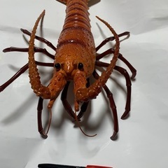 40cm大 伊勢海老 フィギュア 　食品サンプル 