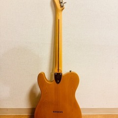 Fender Japan TN 72-70 Thinline 日本製　Gシリアル　　 フェンダージャパン　シンライン　1987〜88年の画像