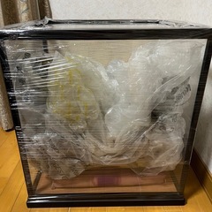 五月人形の画像