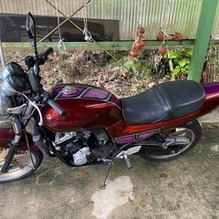 ジェイド250