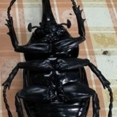 MEGAフィギュア　ヘラクレスオオカブト　の画像