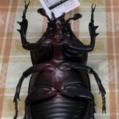 MEGAフィギュア　カブトの画像