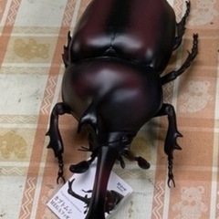 MEGAフィギュア　カブトの画像