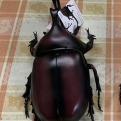 MEGAフィギュア　カブトの画像