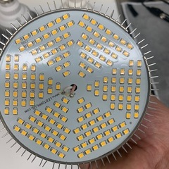 植物育成ライトの画像