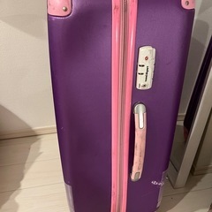 スーツケース大(預け用)の画像
