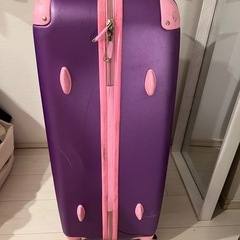 スーツケース大(預け用)の画像