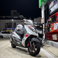 シグナス2型 カスタム多数 SE44J
