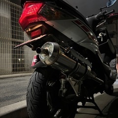 シグナス2型 カスタム多数 SE44Jの画像