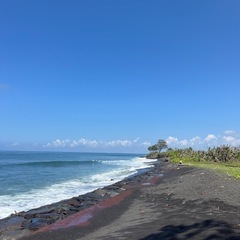サーフィン仲間募集🏄‍♂️