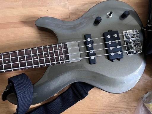 Area Pro2 エレキギター