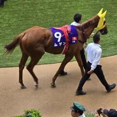 一緒に競馬してくれませんか？