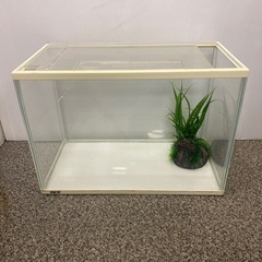 GEX 水槽 すいそう 熱帯魚　メダカ飼育 白枠 40cm　中古 
