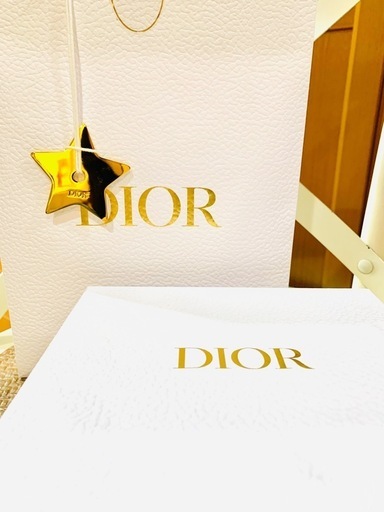 ＜正規品・新品未使用⭐︎超美品⭐︎＞Dior　Petit CD ネックレス
