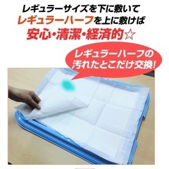 薄型ペットシーツ　ハーフ800枚