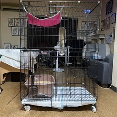 福岡県のキャットケージの中古が安い！激安で譲ります・無料で