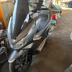 pcx125
