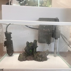 水槽セットの画像