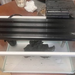 水槽セット