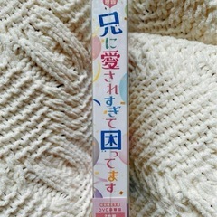 映画 兄に愛されすぎて困ってます('17「兄こま」製作委員会)〈2枚組〉の画像