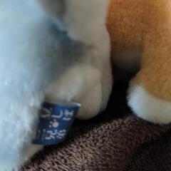 画像四ひき【豆しば三兄弟】、キュート！チェーン付の画像