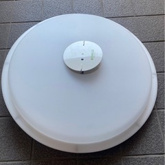 電気
